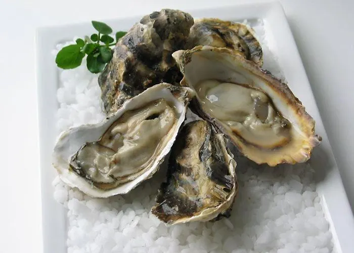 Les Limicoles Maison Proche