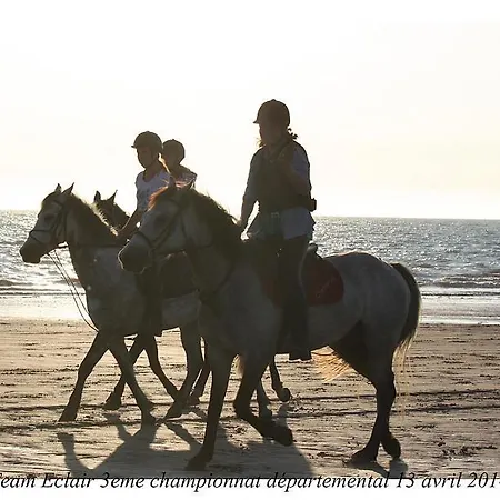 Les Limicoles Maison Proche Σπίτι διακοπών Gouville-sur-Mer