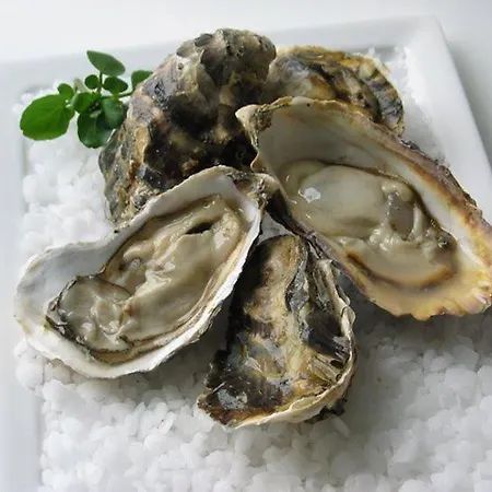 Les Limicoles Maison Proche