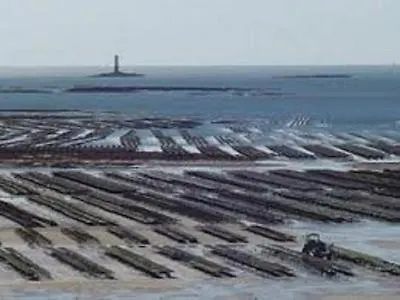 Les Limicoles Maison Proche Gouville-sur-Mer